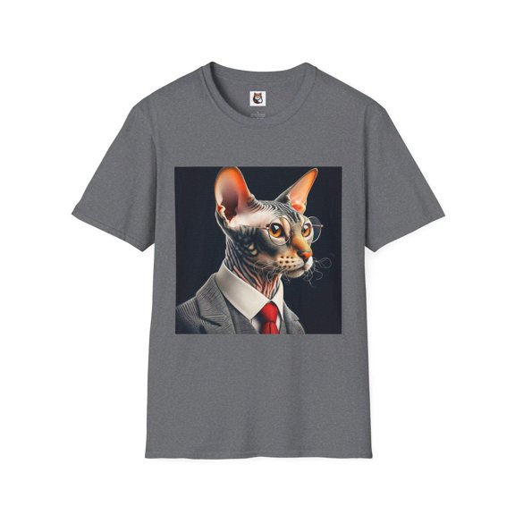 Devon Rex Domestic Cat