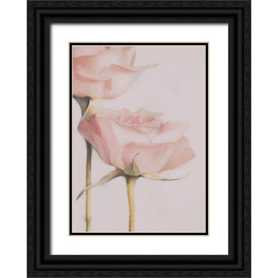 Devos, Delphine 11x14 Black Ornate Wood Framed with Double Matting Museum Art Print Titled - Two Roses