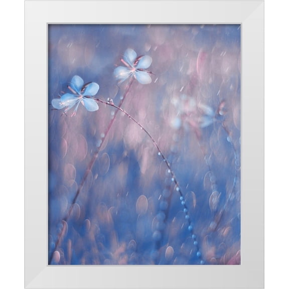 Devos, Delphine 12x14 White Modern Wood Framed Museum Art Print Titled - The Flower Duet