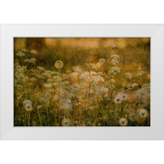 Devos, Delphine 14x11 White Modern Wood Framed Museum Art Print Titled - Dandelion Dreams