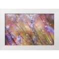 thumbnail image 1 of Devos, Delphine 32x22 White Modern Wood Framed Museum Art Print Titled - Something Magical, 1 of 4