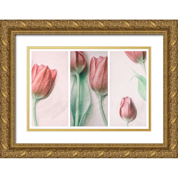 Devos, Delphine 32x23 Gold Ornate Wood Framed with Double Matting Museum Art Print Titled - Red Elegance