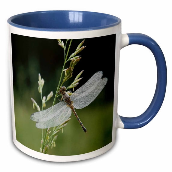 3drose, Dew Covered Darner Dragonfly, 15oz Two-tone Blue Mug