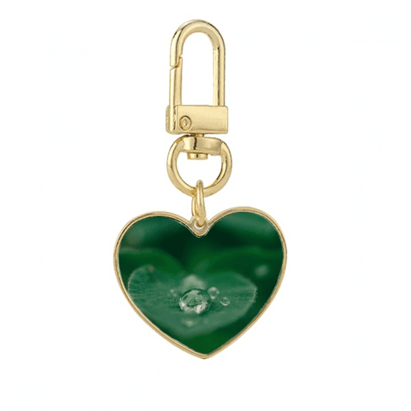 Dewdrop Nature Picture Gold Heart Keychain Metal Keyring Holder
