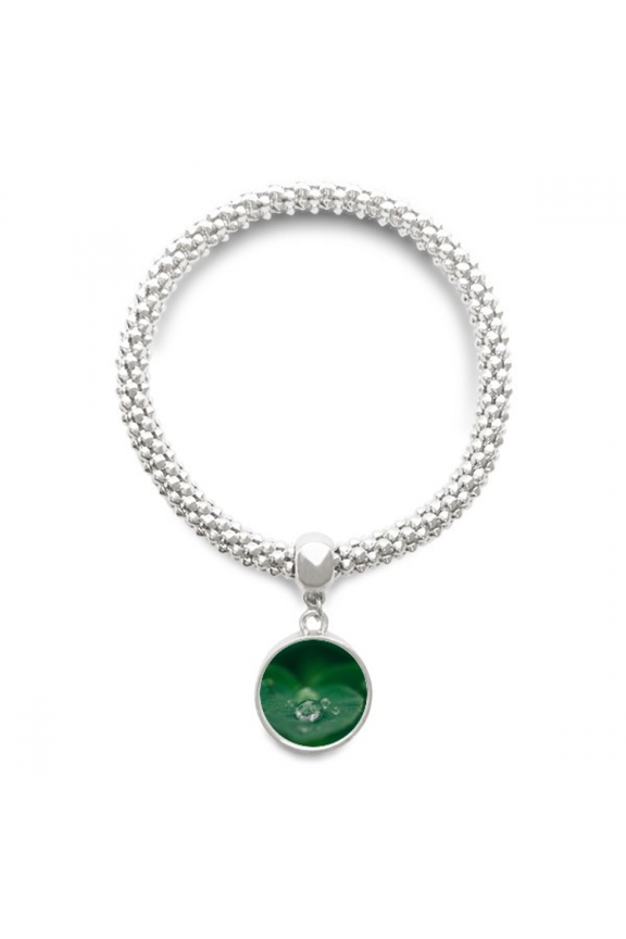 Dewdrop Nature Picture Sliver Bracelet Pendant Jewelry Chain Adjustable Bangle