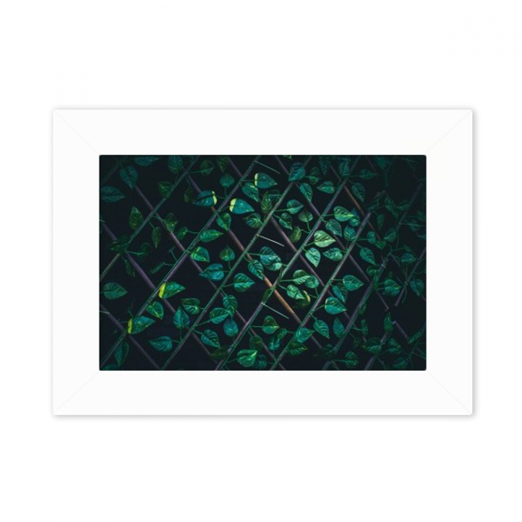 Dewdrop Picture Nature Photo Mount Frame Picture Art Painting Desktop 5x7 inch