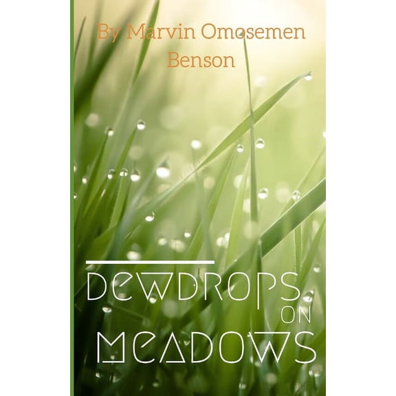 Dewdrops On Meadows (Paperback)