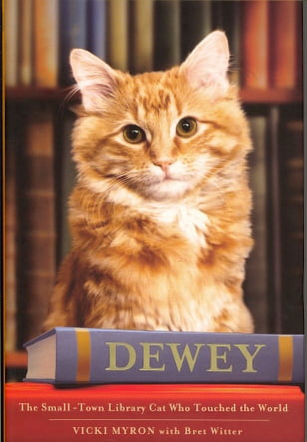 Dewey : The Small-Town Library Cat Who Touched the World (Hardcover) - image 1 of 1