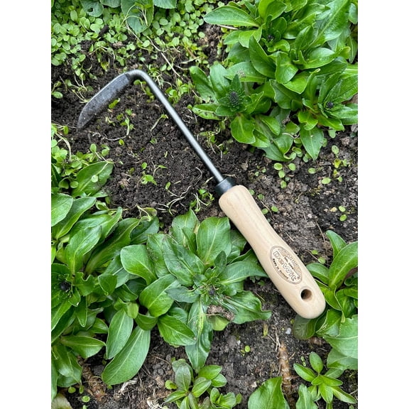Dewit Cape Cod Weeder – Right Hand | Hand Weeding Tool for Tight Spaces | Tempered Boron Steel Blade | 11.75” Total Length | Ash Wood Handle