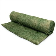 DeWitt Single Net Excelsior Blanket Erosion Control Mat, Green, 4 x 112.5 Feet