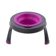 Dexas Fuchsia Single Elevated Feeder for Dogs, 1.5 Cups