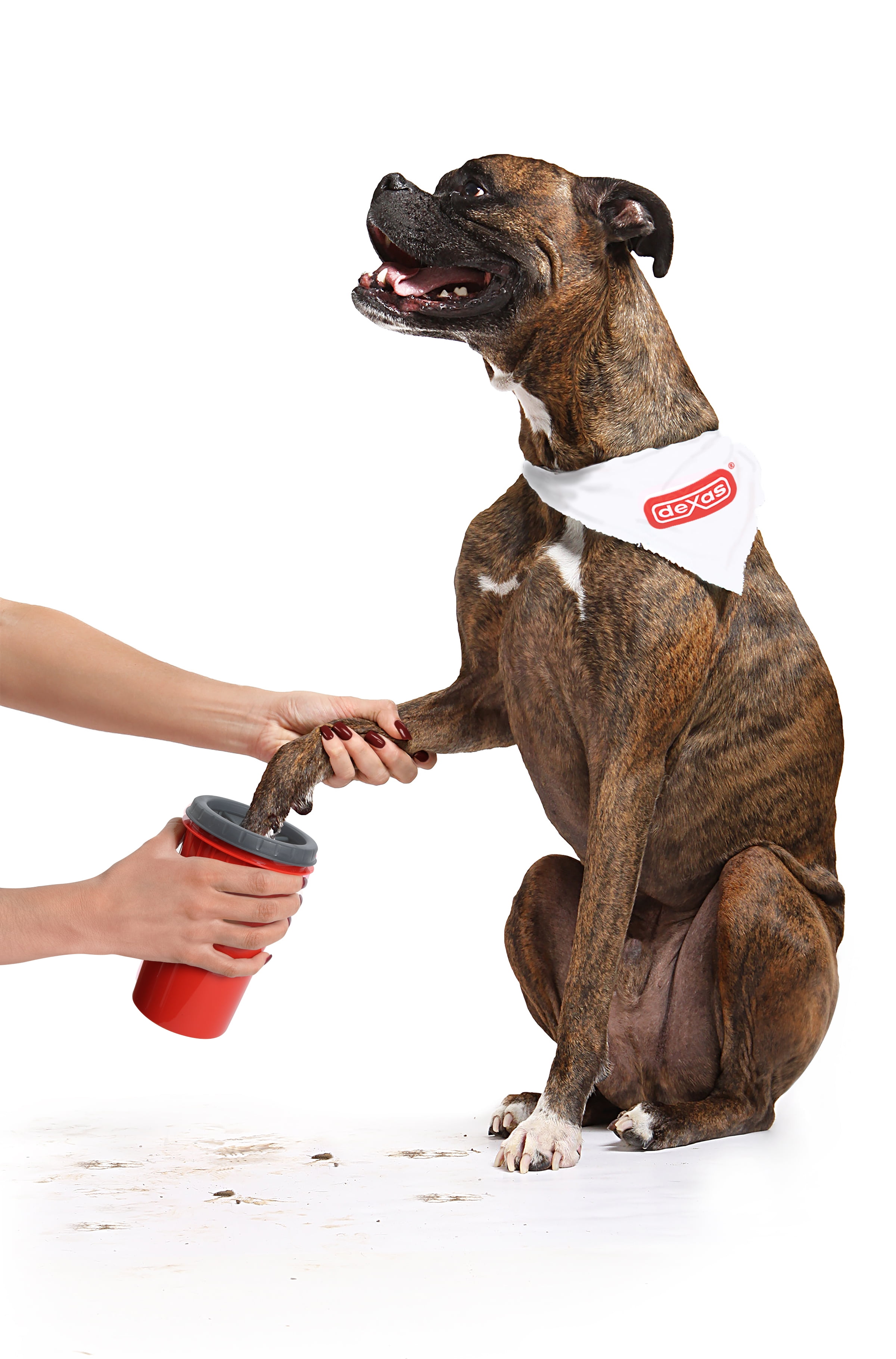 Mudbuster for best sale dogs