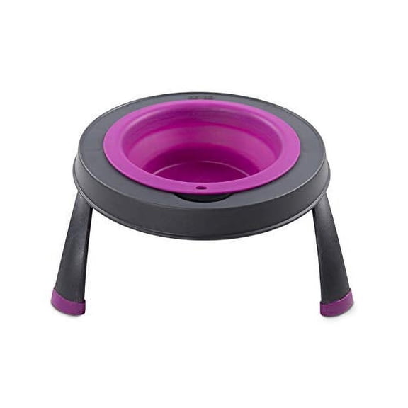 Dexas Pets Single Elevated Pet Feeder/Pet Bowl, 4 Cup Capacity, Fuchsia, Large/4 Cup Capacity