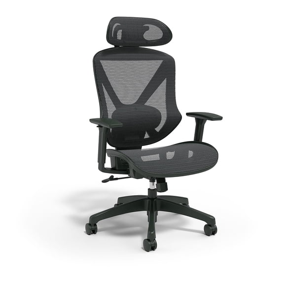 Dexley Ergonomic Mesh Office Chair with Lumbar Support, Adjustable Arms and Seat Height, Swivel Task Chair for Home Office, Black