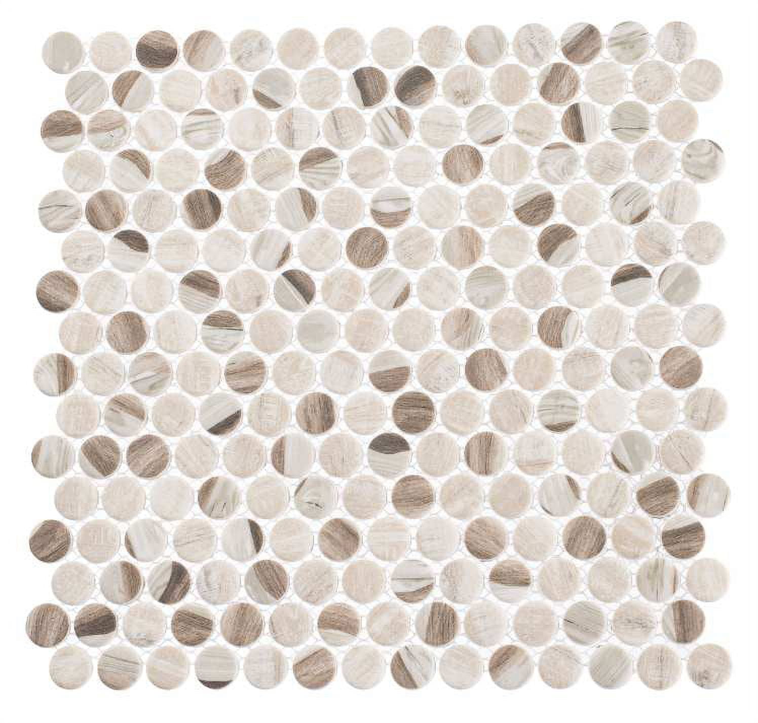 Josen 13x13 Matte Glass Penny Round Mosaic Tile