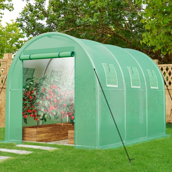 Clearance in Greenhouses