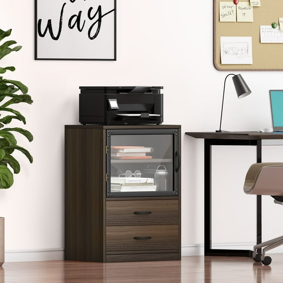 Dextrus 19.7'' Wide 2 -Drawer File Cabinet with Transparent Cabinet Doors and Adjustable Shelves, Walnut