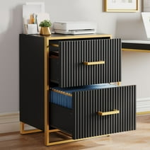 Dextrus 2 Drawer File Cabinet with Metal Legs , Wood Lateral Filing Cabinet Printer Stand Fits A4 Letter Legal Size Files for Home Office, Black & Gold
