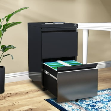 Dextrus 2-Drawer Preassembled Mobile Filing Cabinet with 2 Pack - Black
