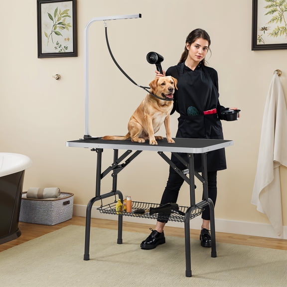 Dextrus Adjustable Dog Grooming Table with Noose & Storage Tray, 310 lb Limit