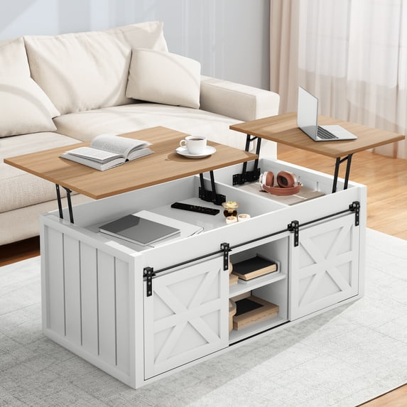 Dextrus 48" Farmhouse Lift Top Coffee Table with Sliding Barn Door