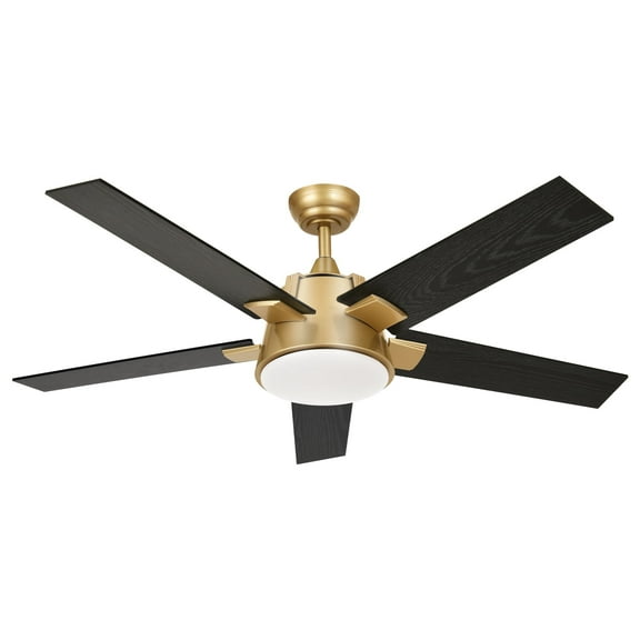 Dextrus 52in Modern Black Gold Ceiling Fan with Light and Wall Switch Remote, 6-Speed 5 Blades Memory Function for Bedroom Living Room Patio