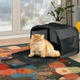 thumbnail image 1 of Dextrus Airline Approved Pet Carrier for Cats&Small Dogs, Collapsible and Breathable Cat Travel Bag Up to 16lbs with 5-Sided Ventilation, Bottom Protection and Washable Liner-17"L x 11"W x 11"H, Black, 1 of 5