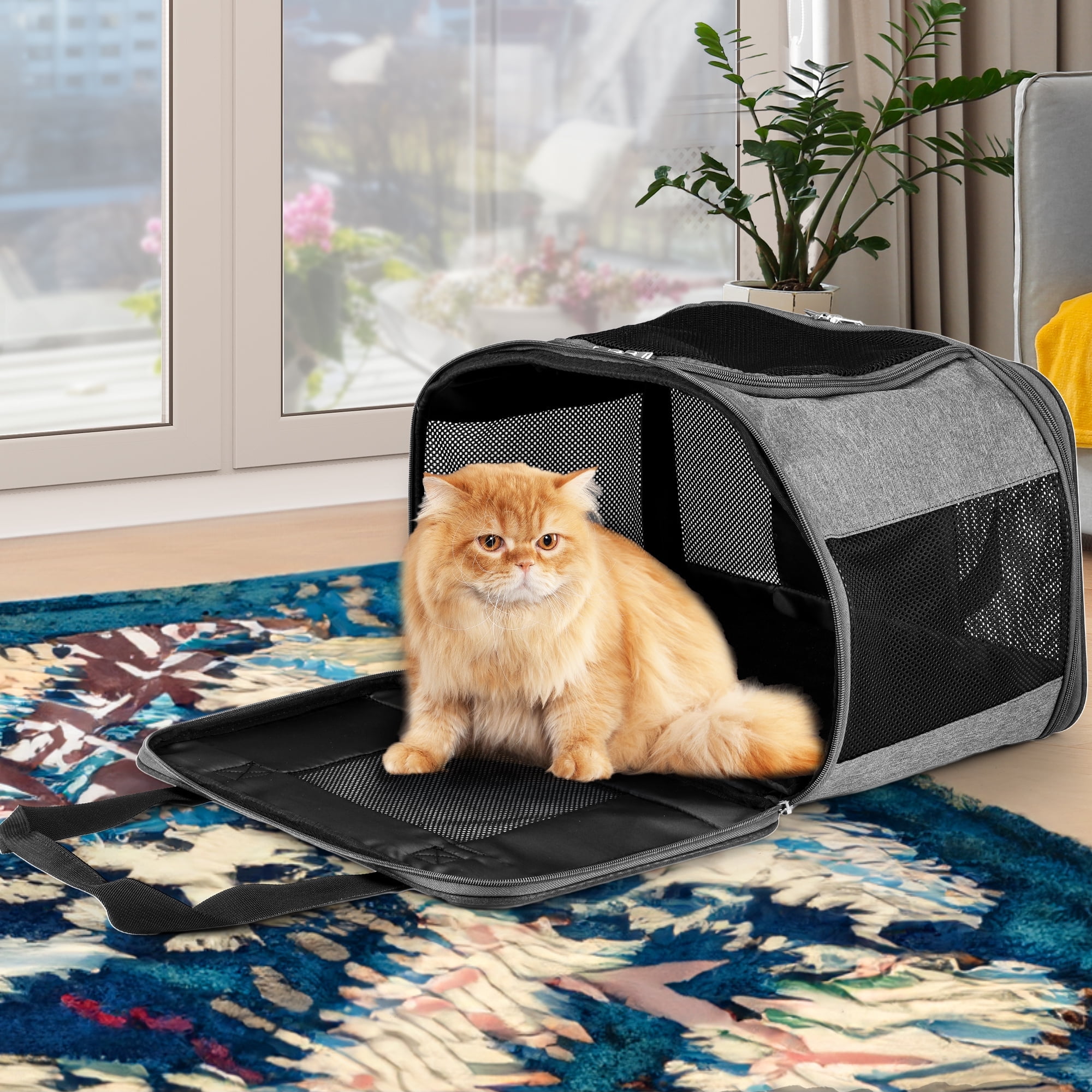 Dextrus Airline Approved Pet Carrier for Cats&Small Dogs