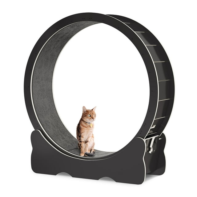 Dextrus Cat Wheel Exerciser for Indoor Cats, 43.3 inch Large Cat