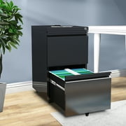 Dextrus Efficient Office Organization: 2-Drawer Vertical File Cabinet with Lock, Mobile Metal Filing Cabinet for Legal/Letter Size, Pre-Built Office Storage Cabinet, Black