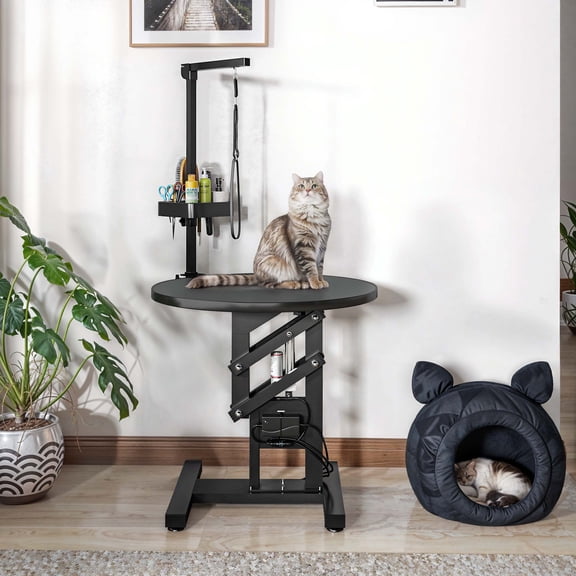 DEXTRUS Electric Adjustable Pet Grooming Table with Adjustable Overhead Arm and Tool Organizer and Leash Hooks, 110 lb Limit