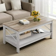 Dextrus Farmhouse Coffee Table 2-Tier Wood Center Table with Storage Shelf for Living Room, Gray, 39.7