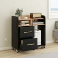 thumbnail image 1 of DEXTRUS Black File Cabinet with Charging Station, Shredder Stand, Printer Table, and 2-Drawer Storage, 1 of 13