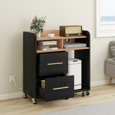 Dextrus File Cabinet with Charging Station and Paper Shredder Stand, Printer Table Cabinet Rolling File Cabinet with 2 Drawers and Open Storage Shelves for Home Office,Black