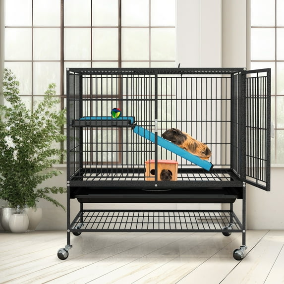 Dextrus Indoor Small Metal Cage for Adult Rats, Rabbits, Ferrets, Chinchillas, Cats, Guinea Pigs, and Large Hamsters Single-Story