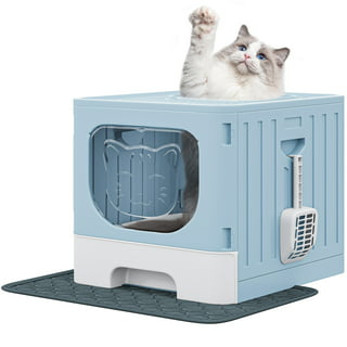 Low Entry Litter Box