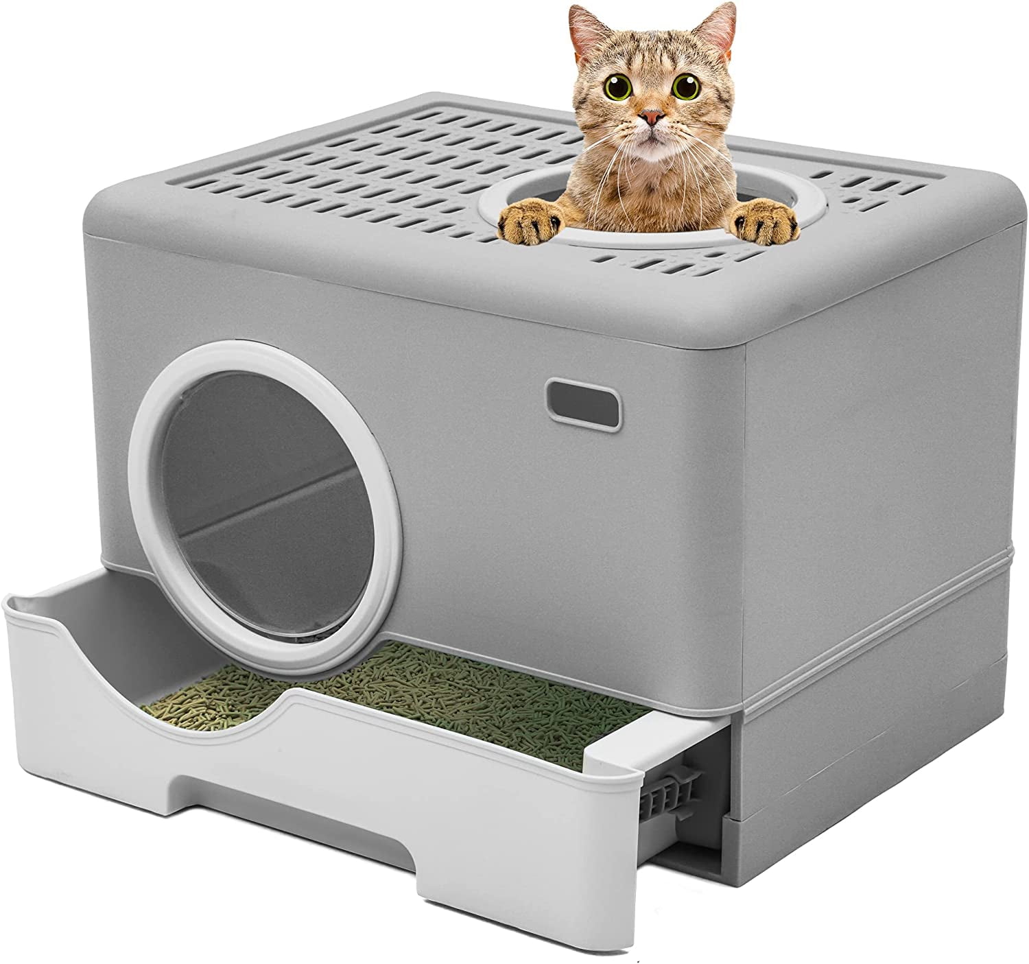 Dextrus Large Enclosed Cat Litter Box, Odorless Enclosed Design with Drawer, Lid Cover, Front