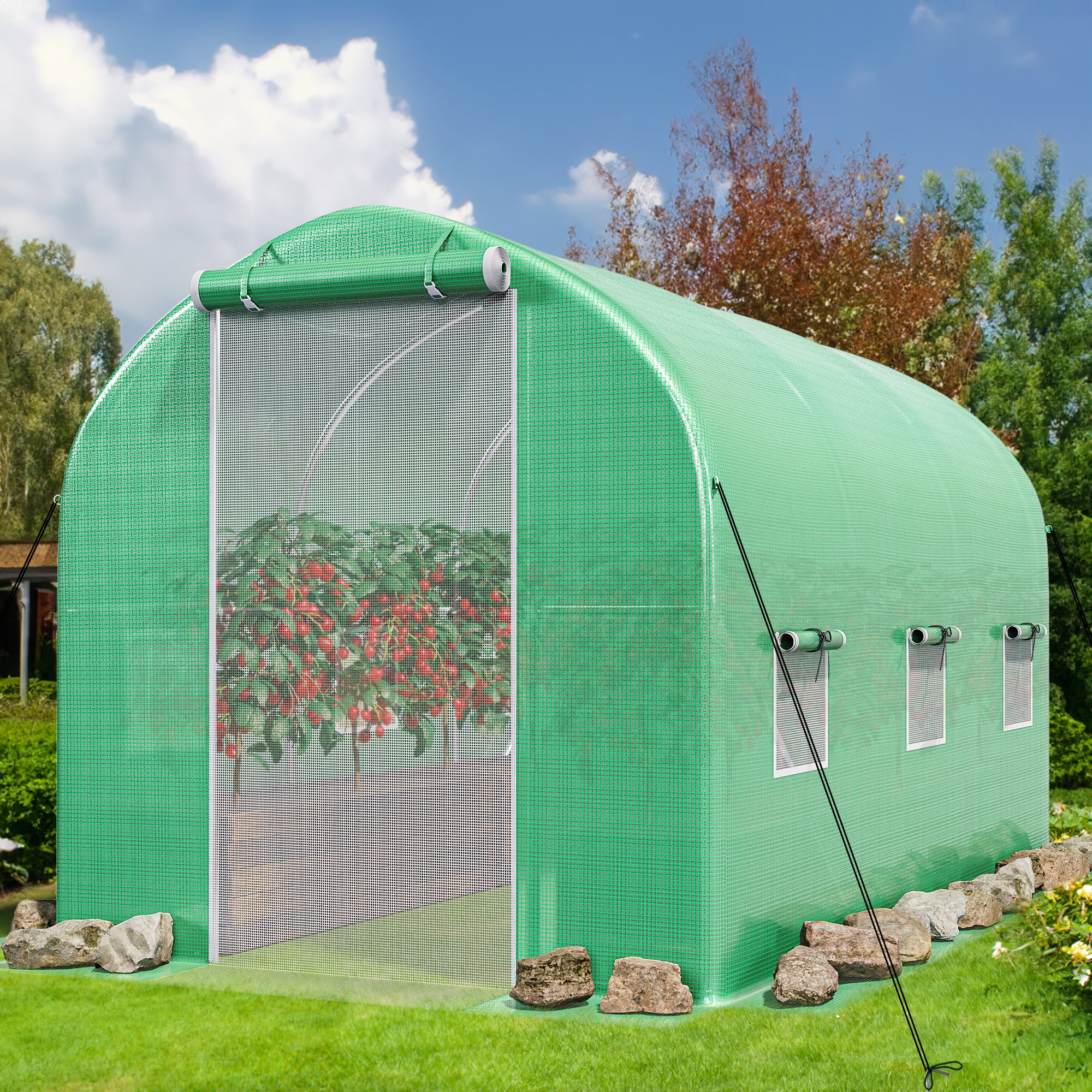 Dextrus Large Walkin Greenhouse for Plant Gardening with Sturdy Frame