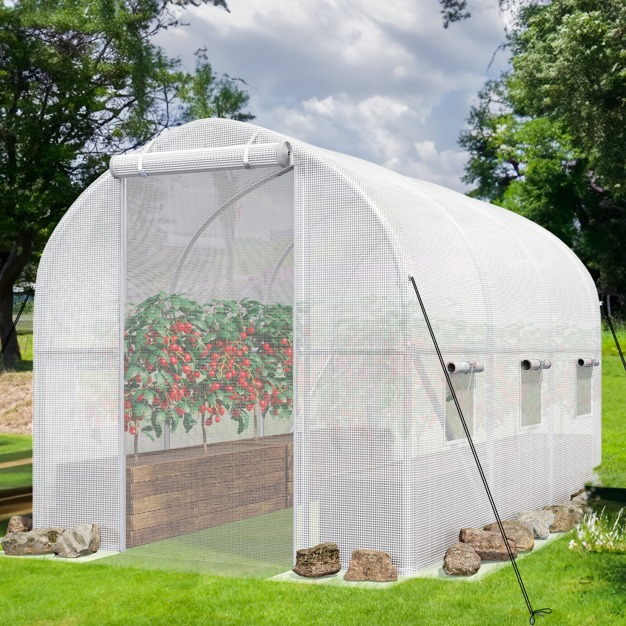 Dextrus Large Walk-in Greenhouse for Plant Gardening with Sturdy Frame ...