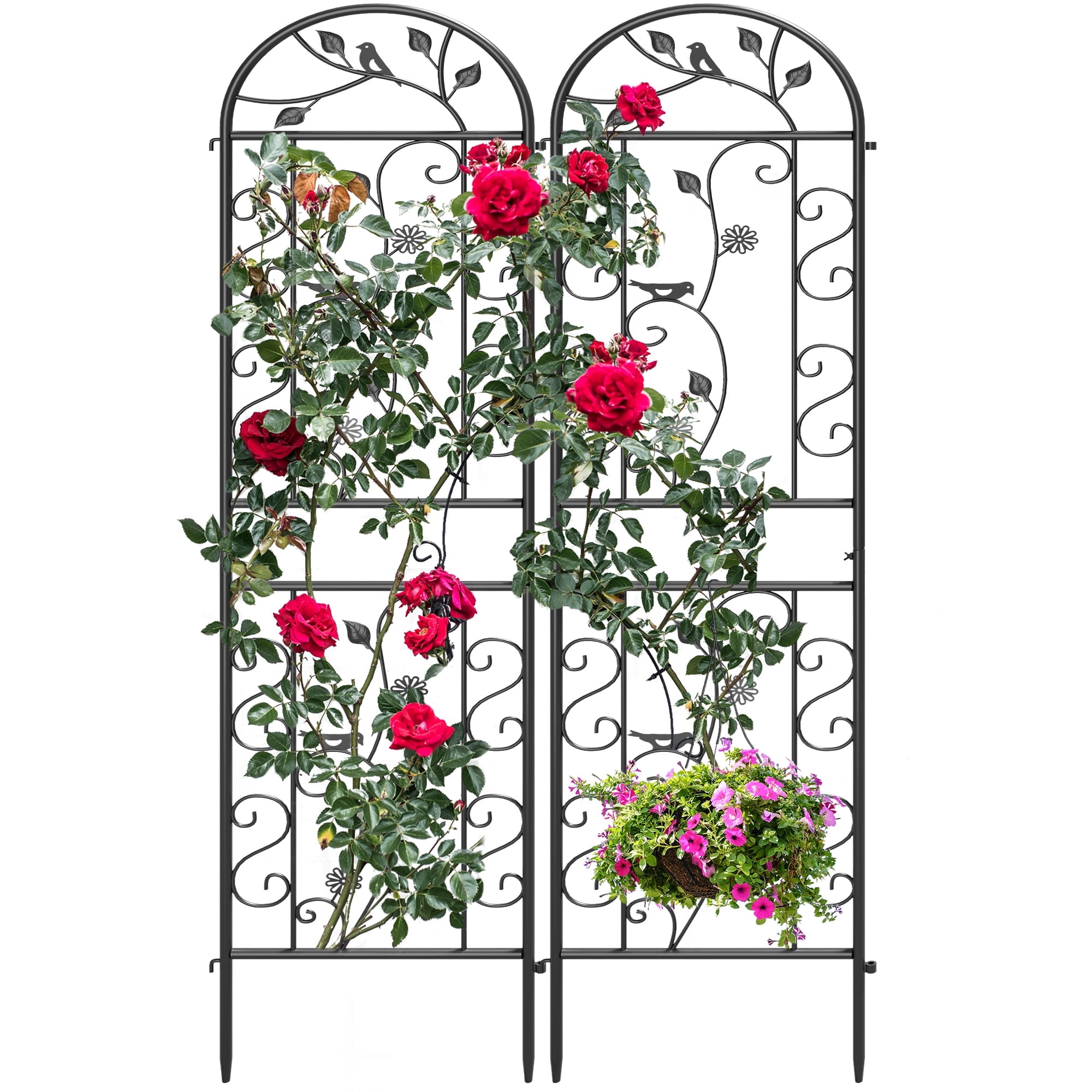 Black Powder Coated Metal Garden Trellis Set for Climbing Plants