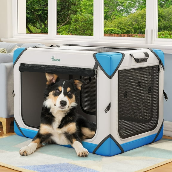 Dextrus Portable Dog Travel Crate, Collapsible Dog Crate with 4 Doors and Sturdy Mesh Windows, Soft Dog Kennel for Indoor and Outdoor Use(36" L x 25" W x 25" H)