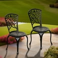 Dextrus Set of 2 Outdoor Cast Aluminum Dining Chairs, Patio Bistro