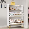 thumbnail image 1 of Dextrus Shoe Cabinet with 2 Flip Drawers, Modern Shoe Storage Organizer , Free Standing Shoe Rack, 1 of 6