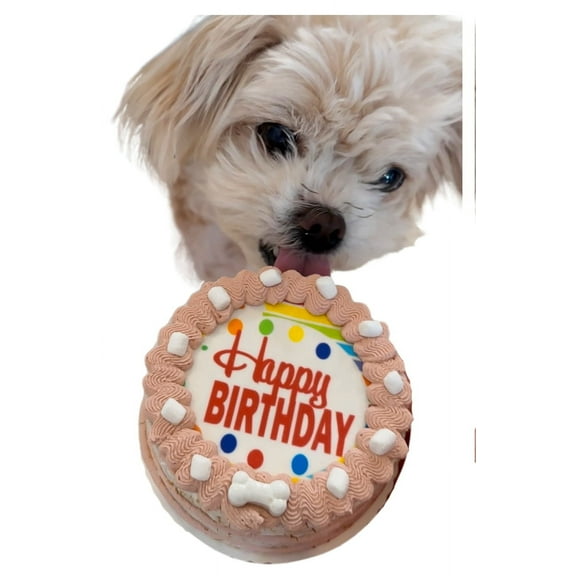 Dezicakes Crispy Rocky Road w/ Marshmellows Dog Birthday Cake- Edible Puppy Party Crispy Vanilla Rice Cake, Yogurt Icing w/ Marshmellows-Perfect Dog Party Cake Boxed, Iced and Decorated
