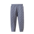 thumbnail image 1 of Dezsed Children Boys Girls Winter Warm Cotton Pants Fleece Lined Elastic Waist Elastic Waist Taper Pants Casual Sweatpants 2-3 Years Gray, 1 of 6