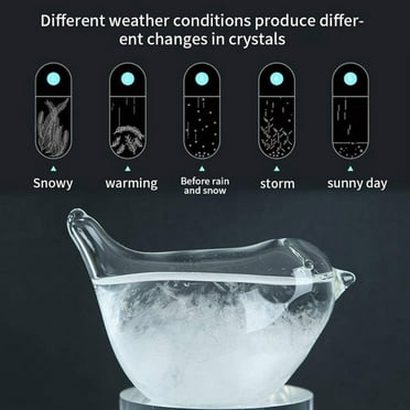Dezsed Glass Weather Forecaster Liquid Barometer Predictor Desktop Weather Glass 30ml on Clearance A