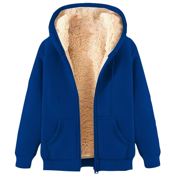 Dezsed Hoodies for Men Heavyweight Fleece Sweatshirt Full Zip Up Thick Sherpa Lined Hooded Sweashirts Sport Coat Blue 3XL