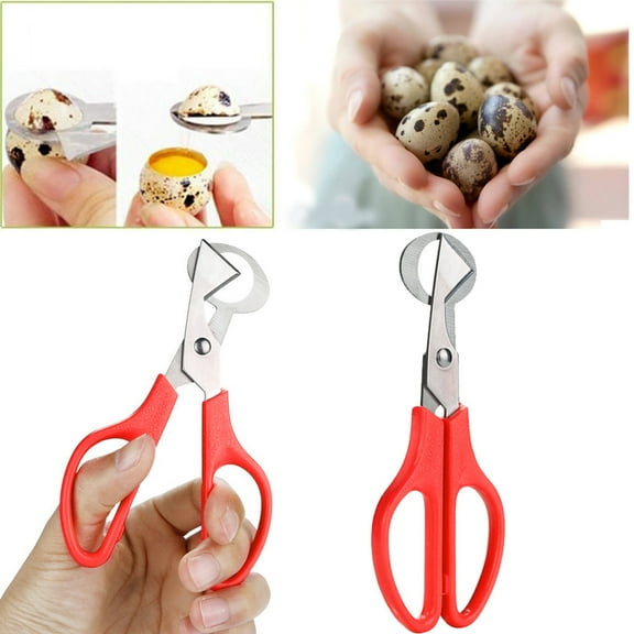 Dezsed Quail Scissors Opener Cutter Stainless Steel Tool on Red