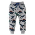 thumbnail image 1 of Dezsed Toddler Cotton Dinosaur Active Jogger Pants with Pockets Kids Casual Athletic Drawstring Pull-On Cotton Jogger Pants for 3-4 Years Dark Gray, 1 of 6