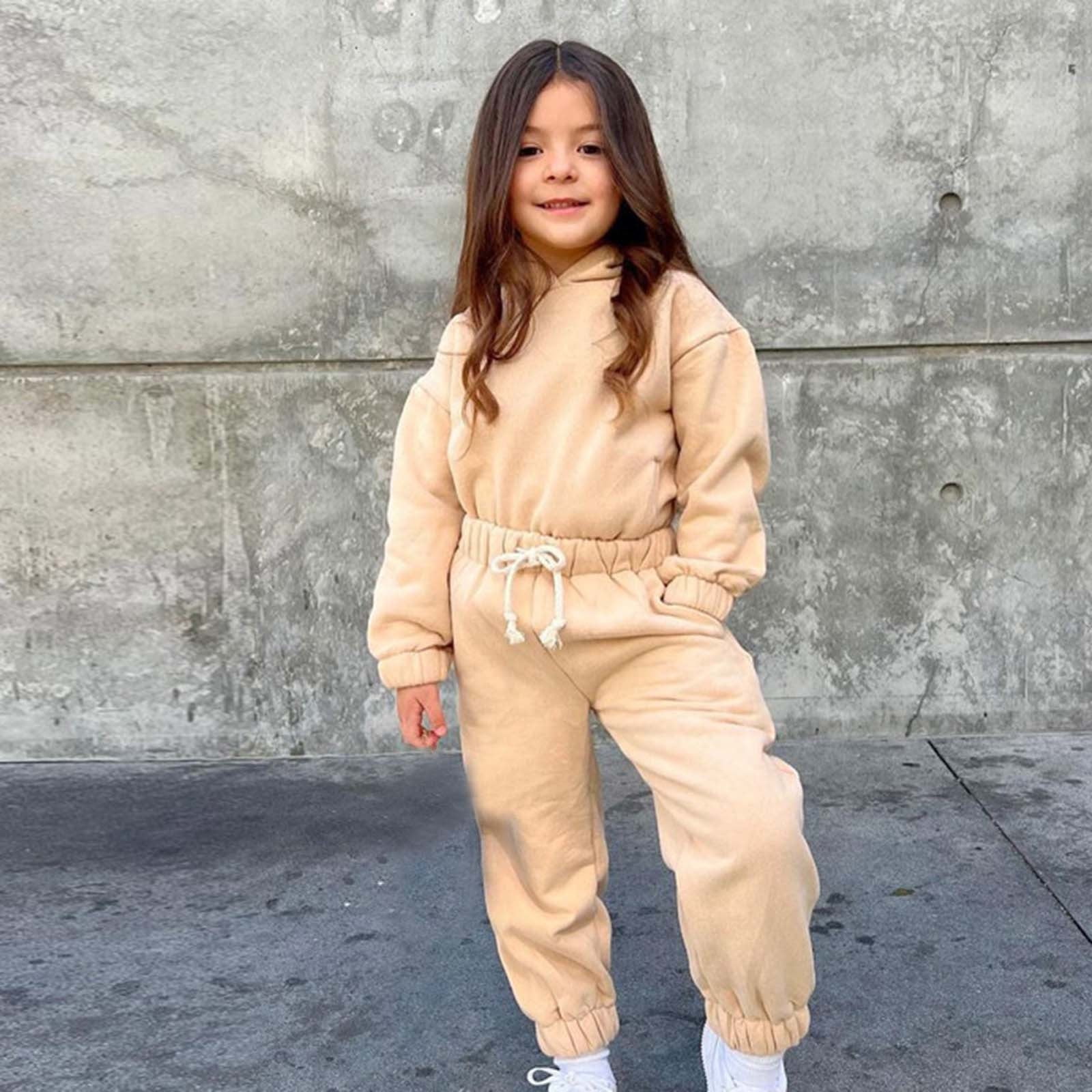 2-piece Toddler Girl Solid Color Hoodie Sweatshirt and Elasticized Pants Casual Set